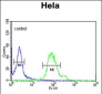 GABARAPL1 Antibody